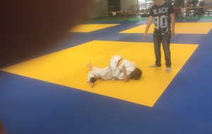 5910b96f427dc_IMG0027.JPG